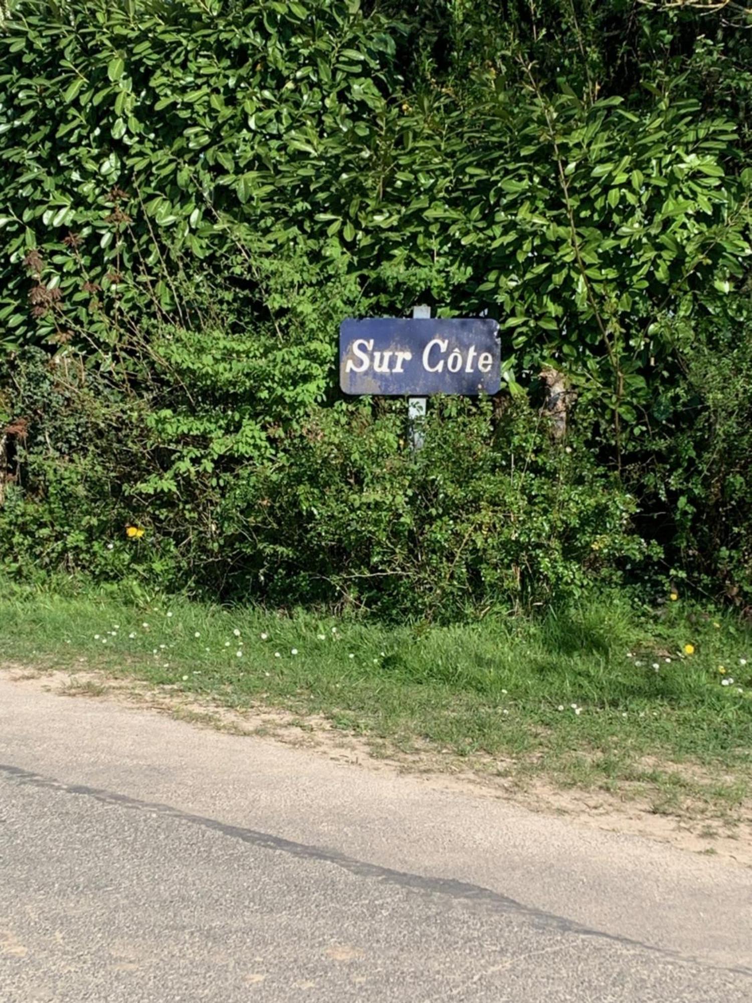 Villa Sur Cote En Dombes Villette-sur-Ain Esterno foto